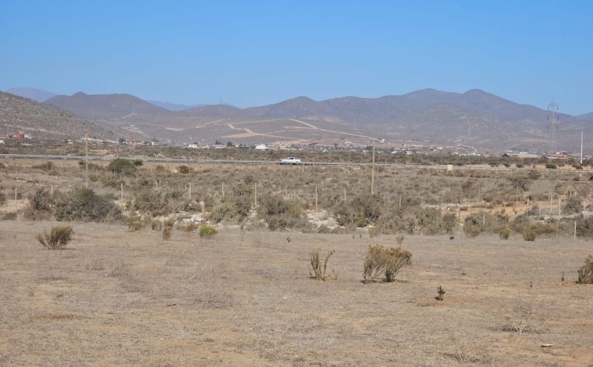 Se Vende Parcela de 5.000 m² a 5 minutos de Playa Guanaqueros.